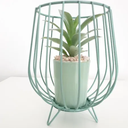 Apartman Design Nature